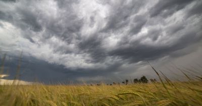 Burze w całym kraju; alert RCB ostrzegający przed intensywnym deszczem